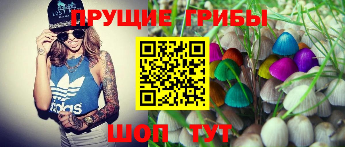 Псилоцибиновые грибы MAGIC MUSHROOMS Артём