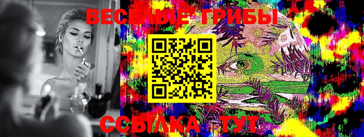 Галлюциногенные грибы Cubensis  Вход с VPN  Артём  Псилоцибиновые грибы Psilocybine cubensis 